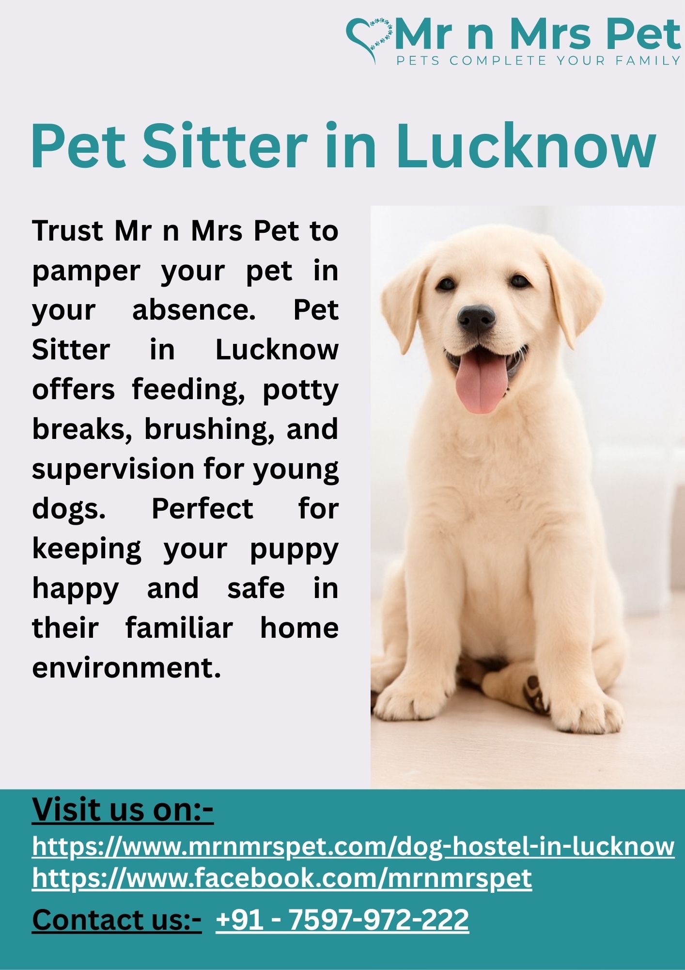 Pet Sitter in Lucknow